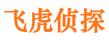 藁城市侦探调查公司